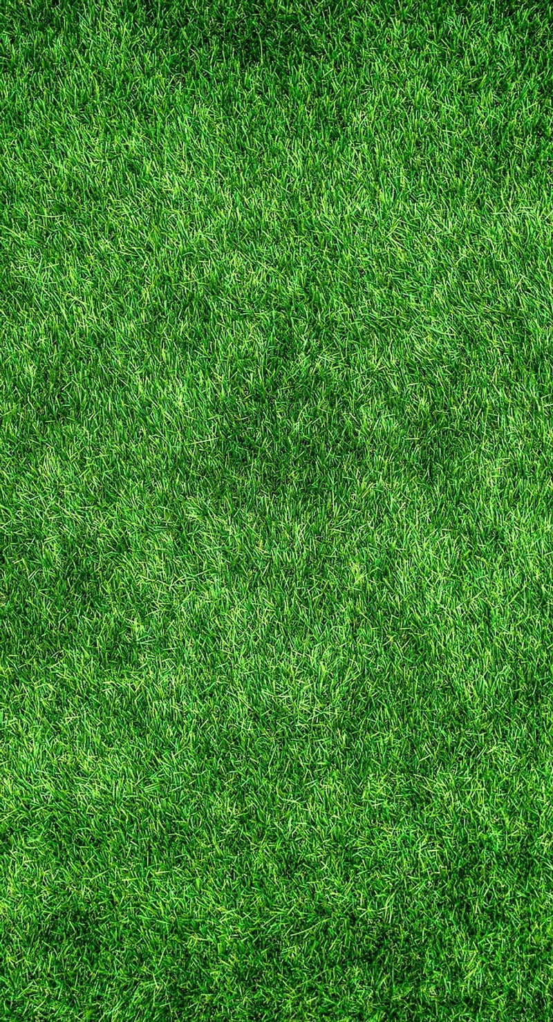 Eco-Friendly DIY Cleaning Products